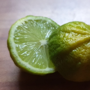 Taichong lemon